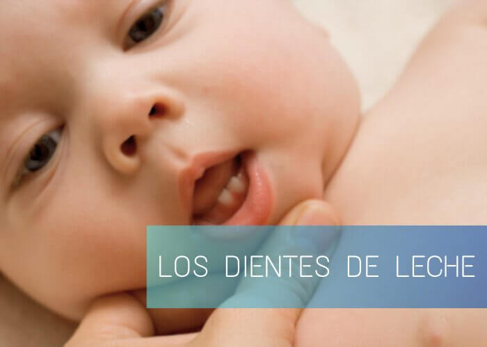 Nucia Clinic - Dientes de Leche